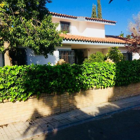 Villa Ferrer Sevilla Ginés المظهر الخارجي الصورة