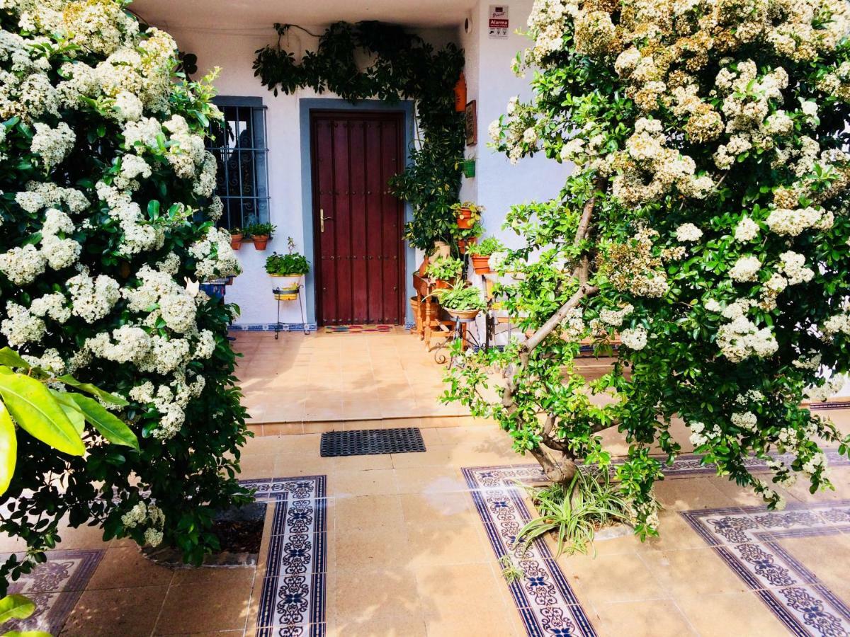 Villa Ferrer Sevilla Ginés المظهر الخارجي الصورة