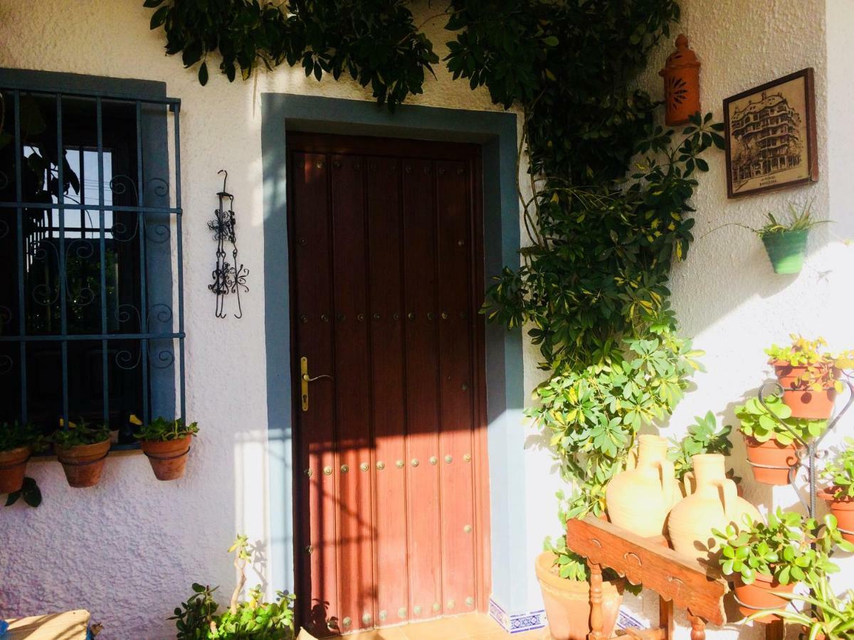 Villa Ferrer Sevilla Ginés المظهر الخارجي الصورة